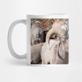 Big Horns Mug